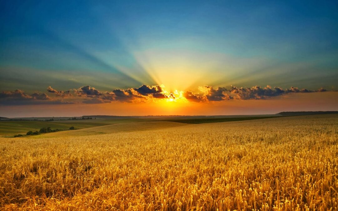 Intenties of verlangens in IoPT – hoe te formuleren?